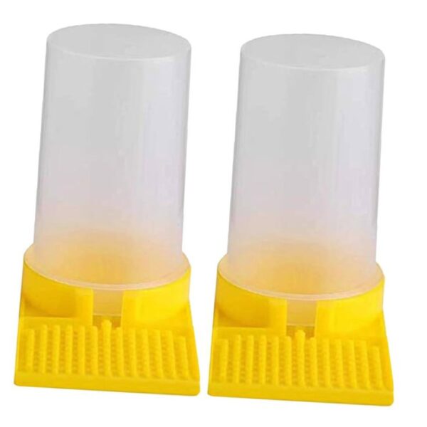 Bee Feeder