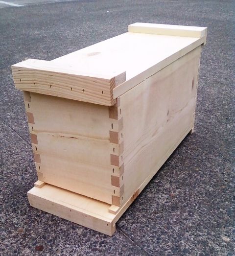 Bee Catcher Box