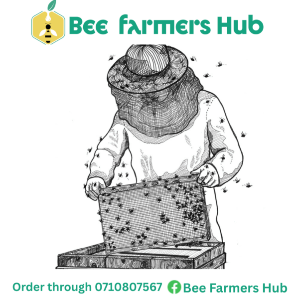 Round Veil Bee Suite