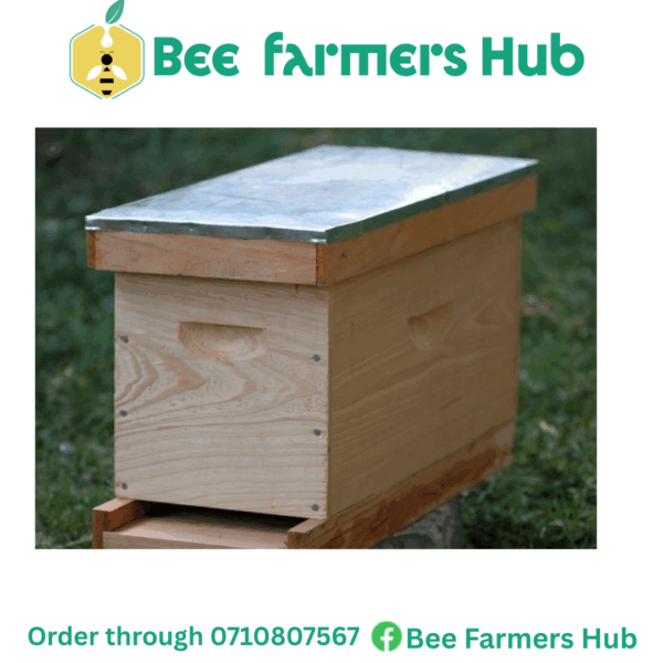 Bee Catcher Box