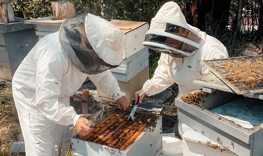 Bee Farmers Hub